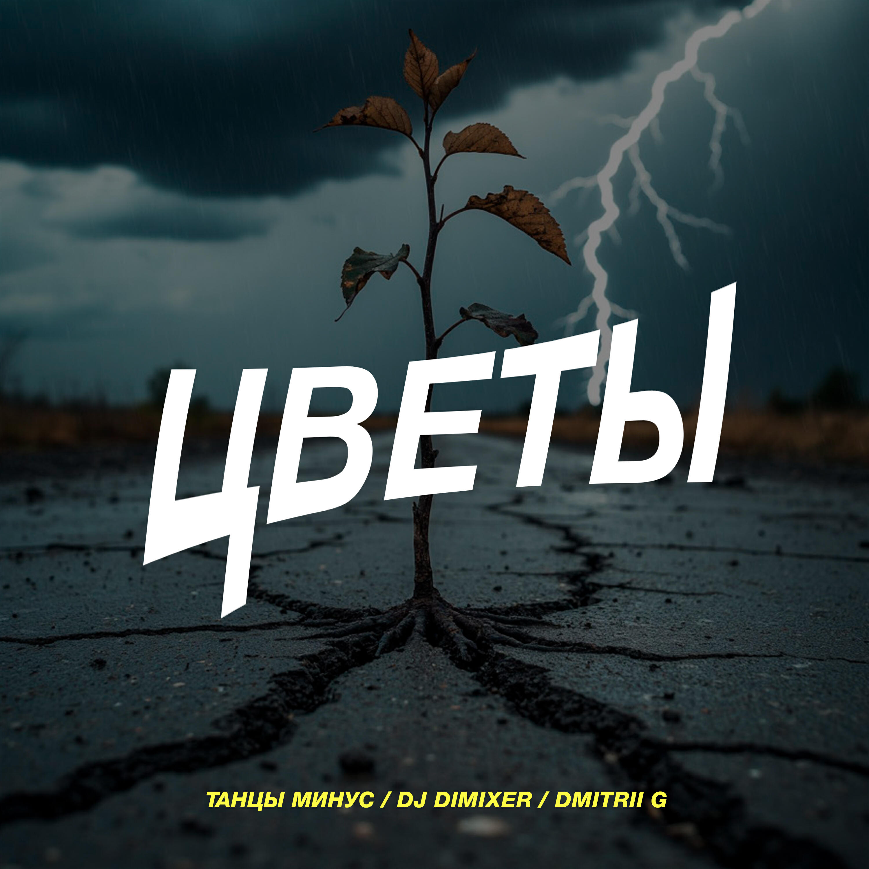 Цветы (Remix)