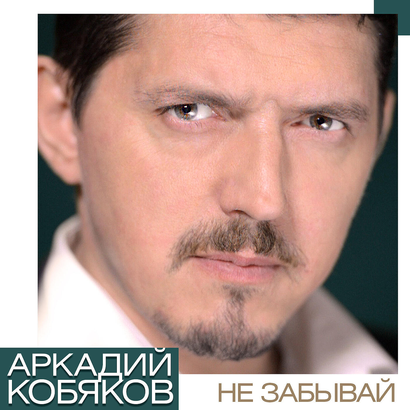 Шалава